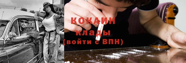 прущий лед Бородино