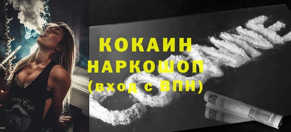 прущий лед Бородино