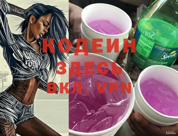прущий лед Бородино